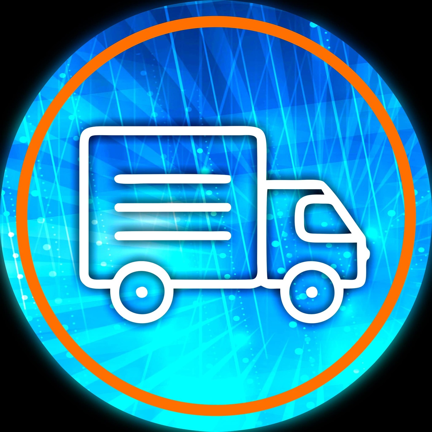 <span style="font-weight: bold;">TRANSPORTE   </span><br>